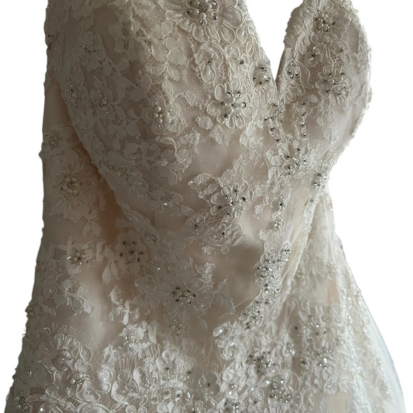 Elegant Lace Wedding Dress - Picture 9 of 16